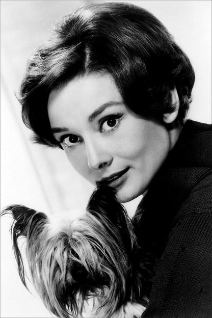 Hepburn Audrey Artist Fashion Model Actress Poster Wall Art Print Home Wall Decor