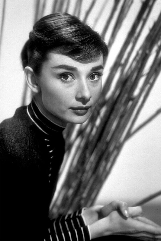 Hepburn Audrey Actress Charitable Fashion Model Poster Wall Art Print Home Wall Decor