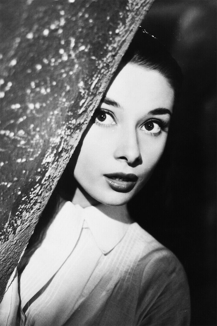 Hepburn Audrey Artist Fashion Model Actress Poster Wall Art Print Home Wall Decor