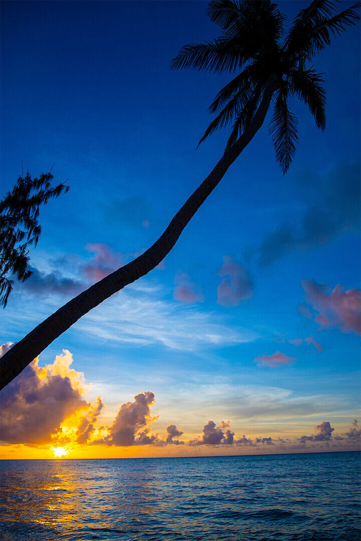 Silhouette Of Coconut Tree At Amazing Sunset Poster Wall Art Print Home Wall Decor