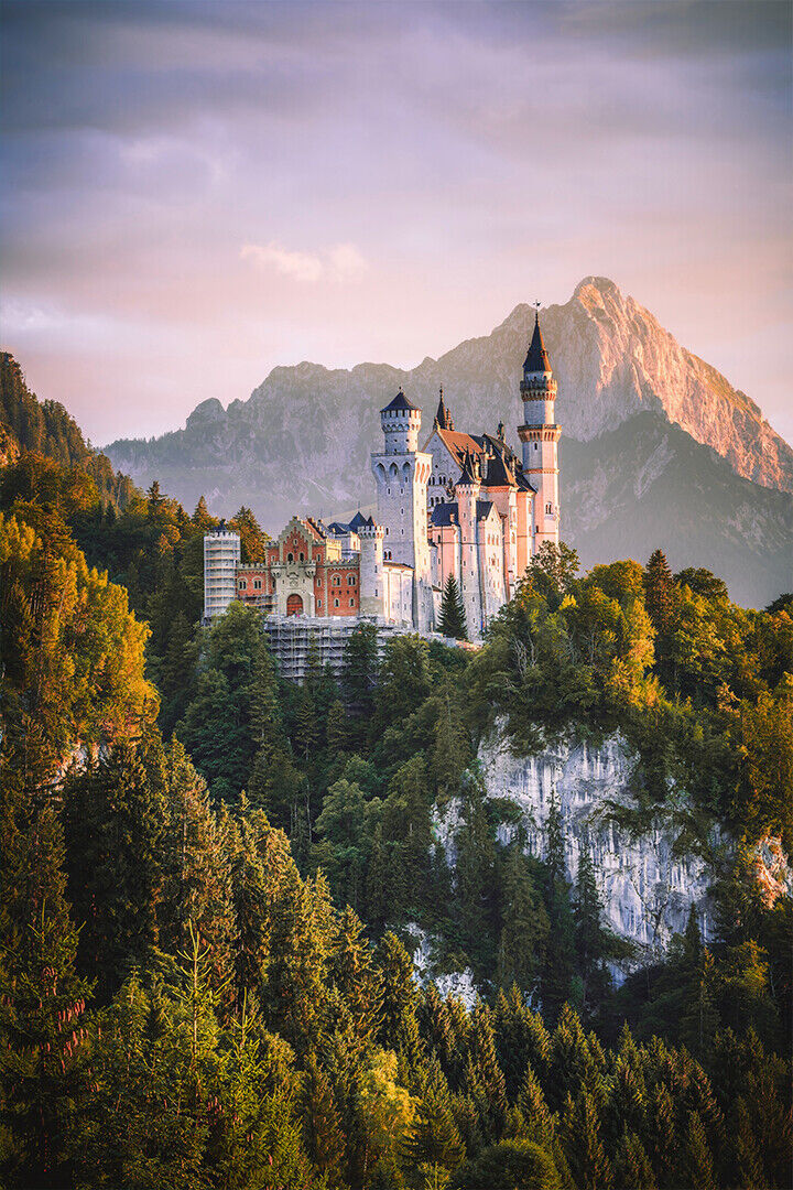 Scenic Photo Of Castle During Dawn Poster Wall Art Print Home Wall Decor