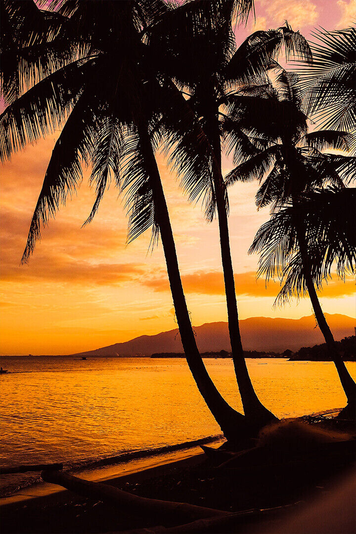 Picturesque Sunset Over Sea Palm Trees Beach Poster Wall Art Print Home Wall Decor