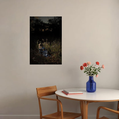 The Weather Station Ignorance Music Album Poster Wall Art Print Home Wall Decor
