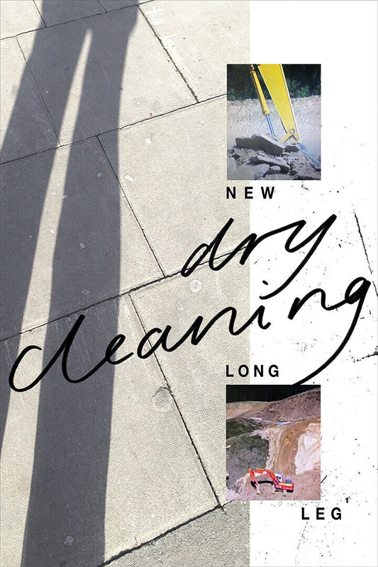 Dry Cleaning New Long Leg Music Album Cover Poster Wall Art Print Home Wall Decor
