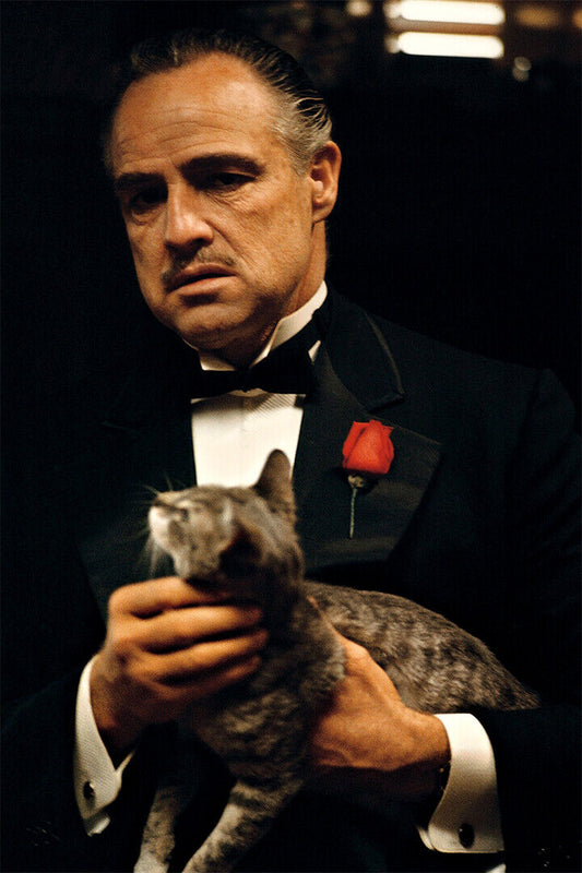 Marlon Brando In The Godfather Movie Crime Poster Wall Art Print Home Wall Decor