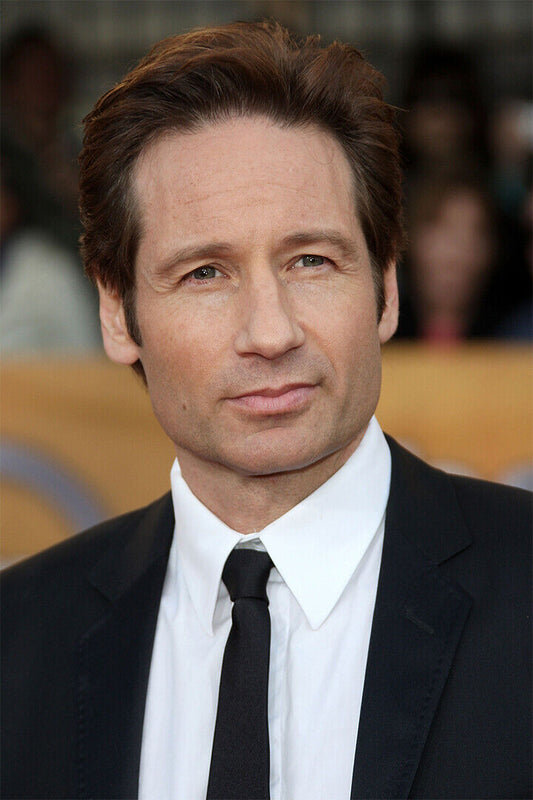 David Duchovny American Tv And Movie Actor Poster Wall Art Print Home Wall Decor