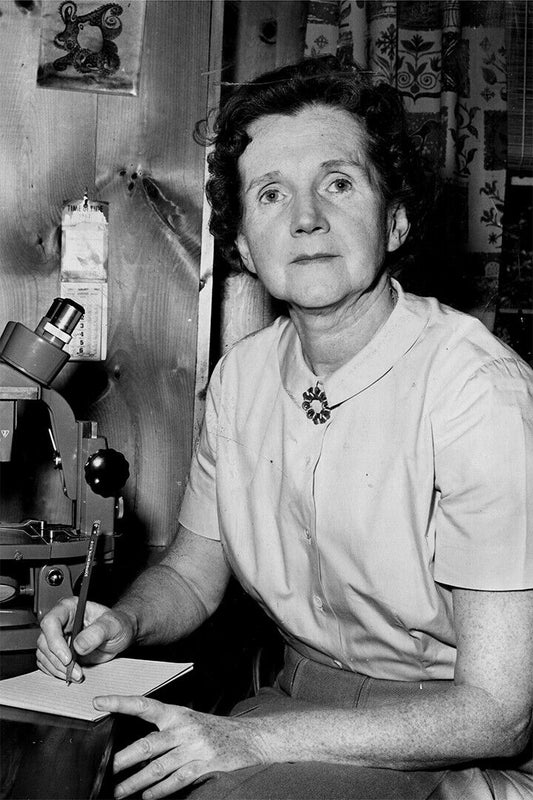 Rachel Carson Looking Through A Microscope Poster Wall Art Print Home Wall Decor