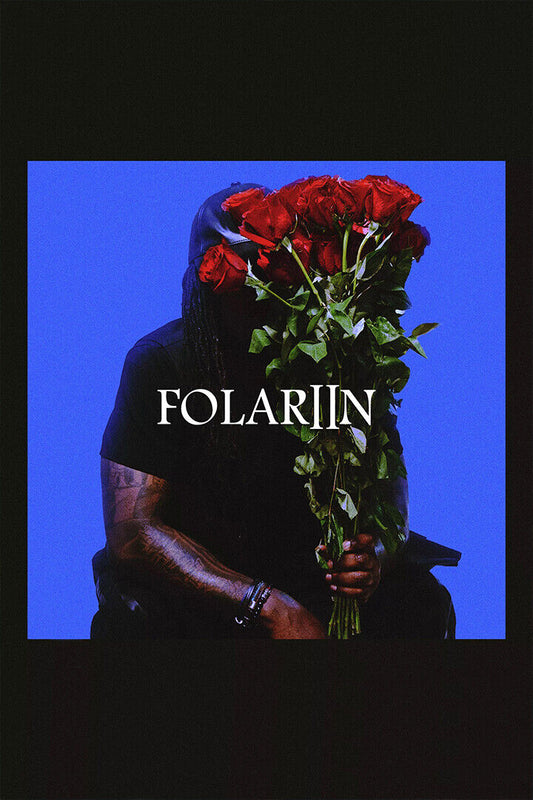 Wale Folarin Ii Music Album American Rapper Poster Wall Art Print Home Wall Decor