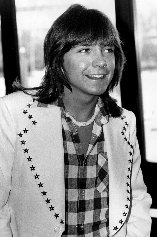 Actor David Cassidy Smiling Songwriter Musician Poster Wall Art Print Home Wall Decor