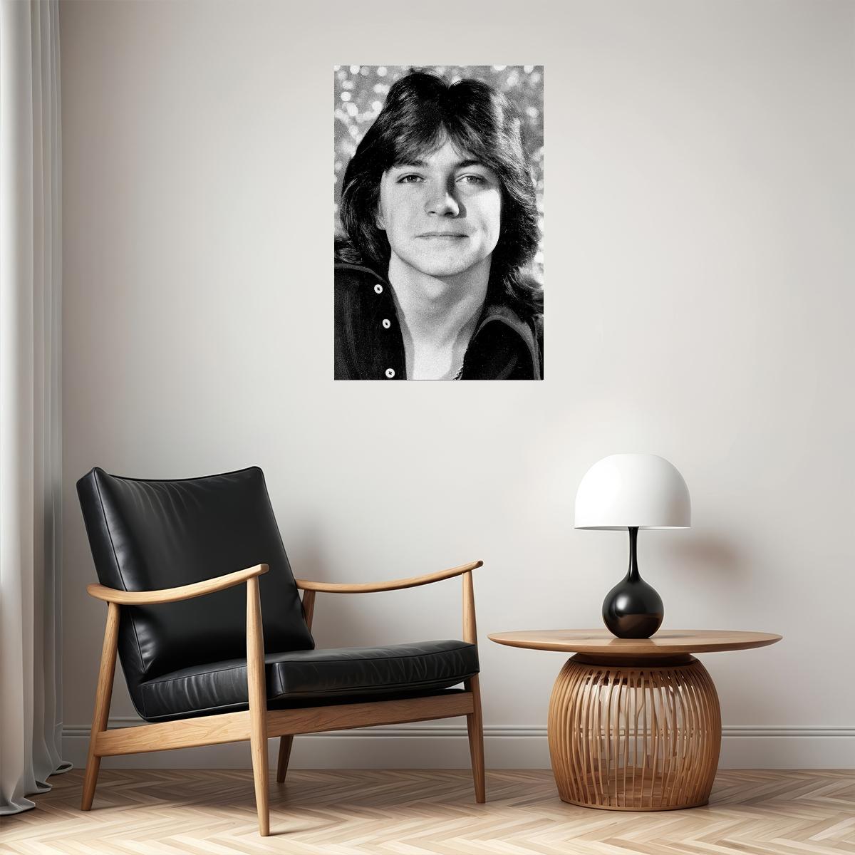 David Cassidy Smiling Actor Songwriter Musician Poster Wall Art Print Home Wall Decor