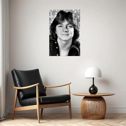David Cassidy Smiling Actor Songwriter Musician Poster Wall Art Print Home Wall Decor
