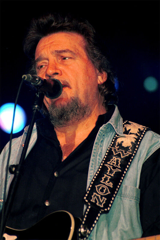 Waylon Jennings Performing Musician Poster Wall Art Print Home Wall Decor