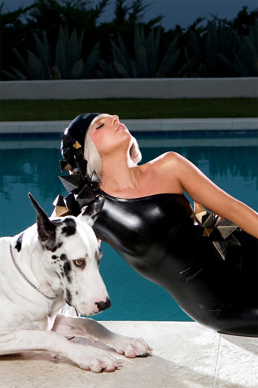 Lady Gaga Poker Face Music Album Poster Wall Art Print Home Wall Decor