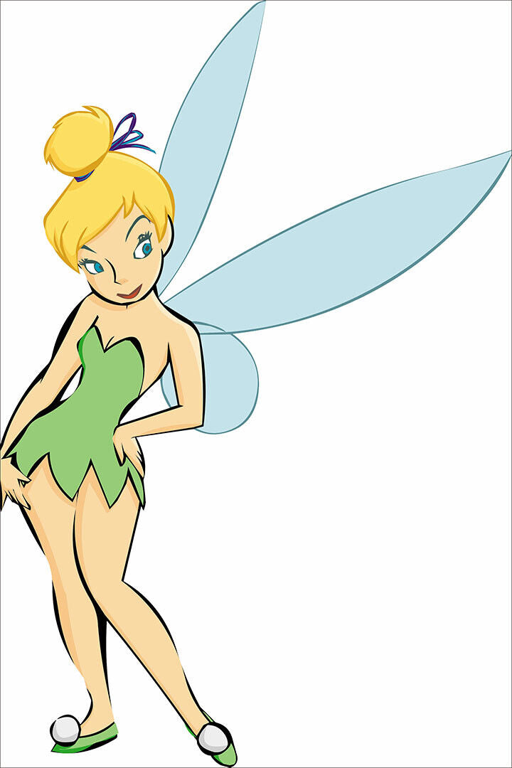 Pan Wendy Tinker Bell Captain Hook Classic Movie Poster Wall Art Print Home Wall Decor