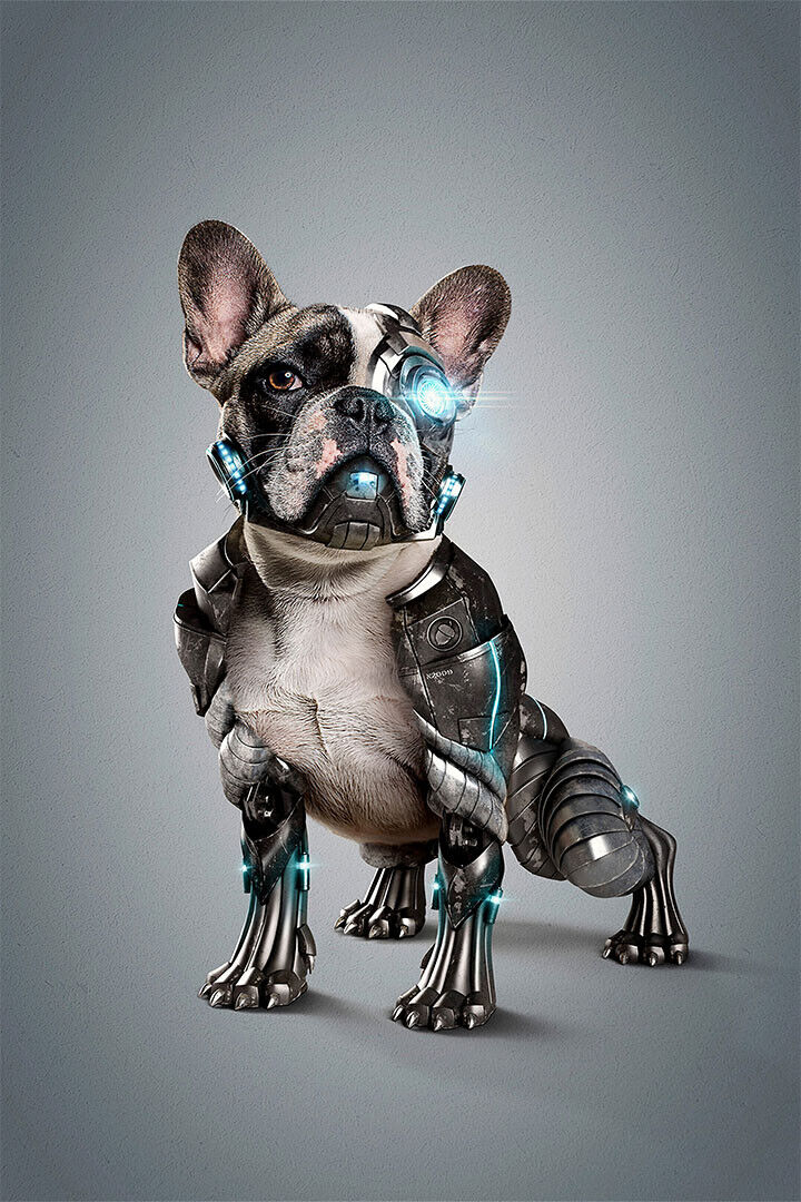 Robotic Dog Friendship Alex Sci-fi Fantasy Movie Poster Wall Art Print Home Wall Decor