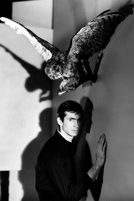 Psycho Movie Horror Thriller Poster Wall Art Print Home Wall Decor