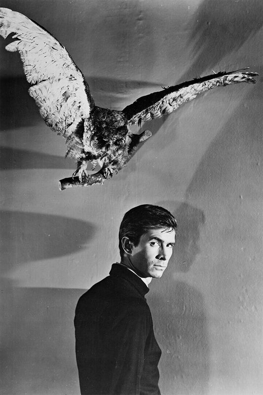 Psycho Horror Movie Classic Vintage Poster Wall Art Print Home Wall Decor