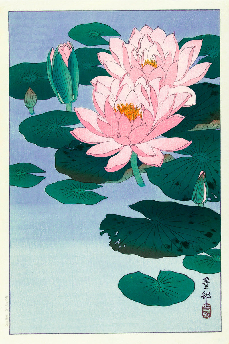 Lotus Nelumbo Flower Bloom Water Pond Japanese Traditional Poster
