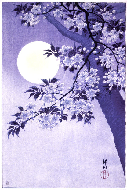 Night Flower Tree Sakura Bloom Japanese Traditional Poster
