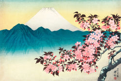 Mount Fuji Sakura Bloom Japanese Traditional Poster