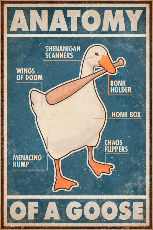 Anatomy Of A Goose Funny Duck Vintage Art Poster