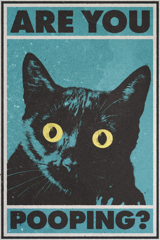 Are You Pooping Poster Funny Black Cat Vintage Art Poster - xonomax