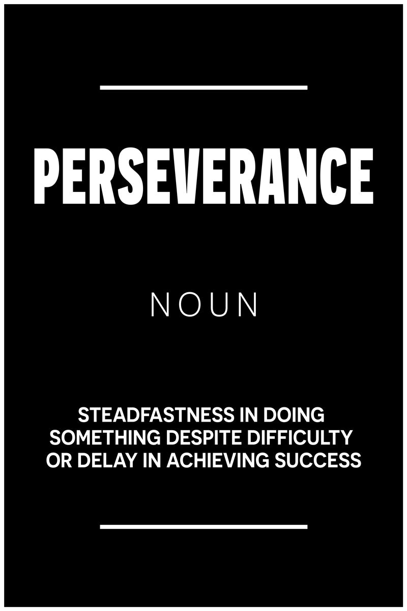 Perseverance Motivational Poster With Sayings Black and White Inspirational Home Decor