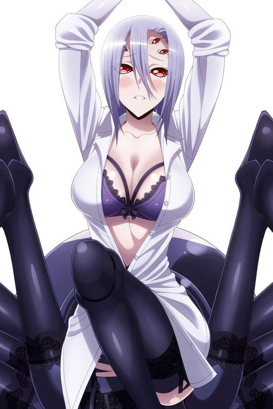 Monster Musume No Iru Nichijou Monster Musume Everyday Life With Monster Girls Rachnera Arachnera Anime Poster Manga Art Sexy