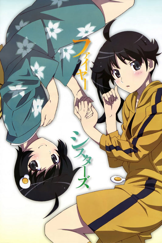 Monogatari Bakemonogatari Nisemonogatari Araragi Karen Araragi Tsukihi Series Supernatural Romance Anime Poster Manga Art