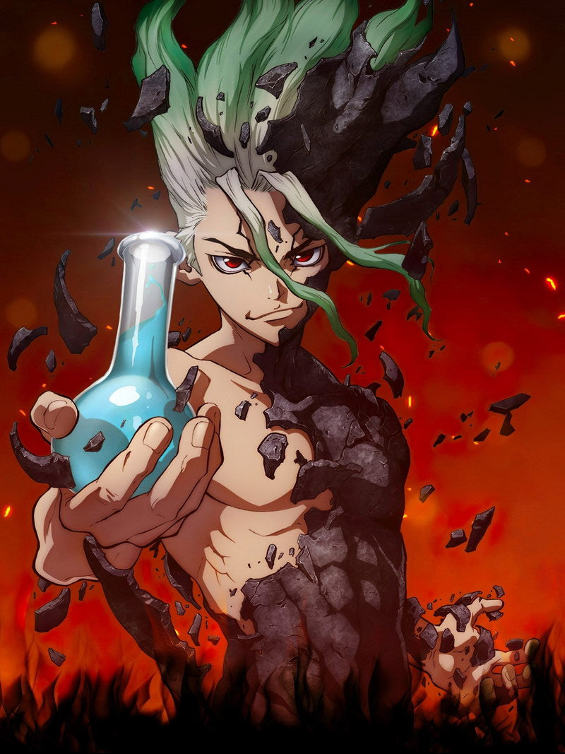 Dr. Stone Anime Poster Japanese Sci-fi Adventure Manga Art