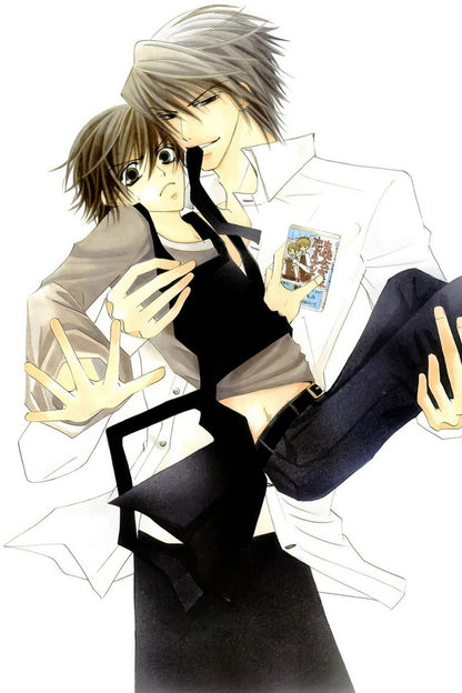 Junjou Romantica Misaki Takahashi Akihiko Usami Yaoi Boys Love Anime Poster Manga Art