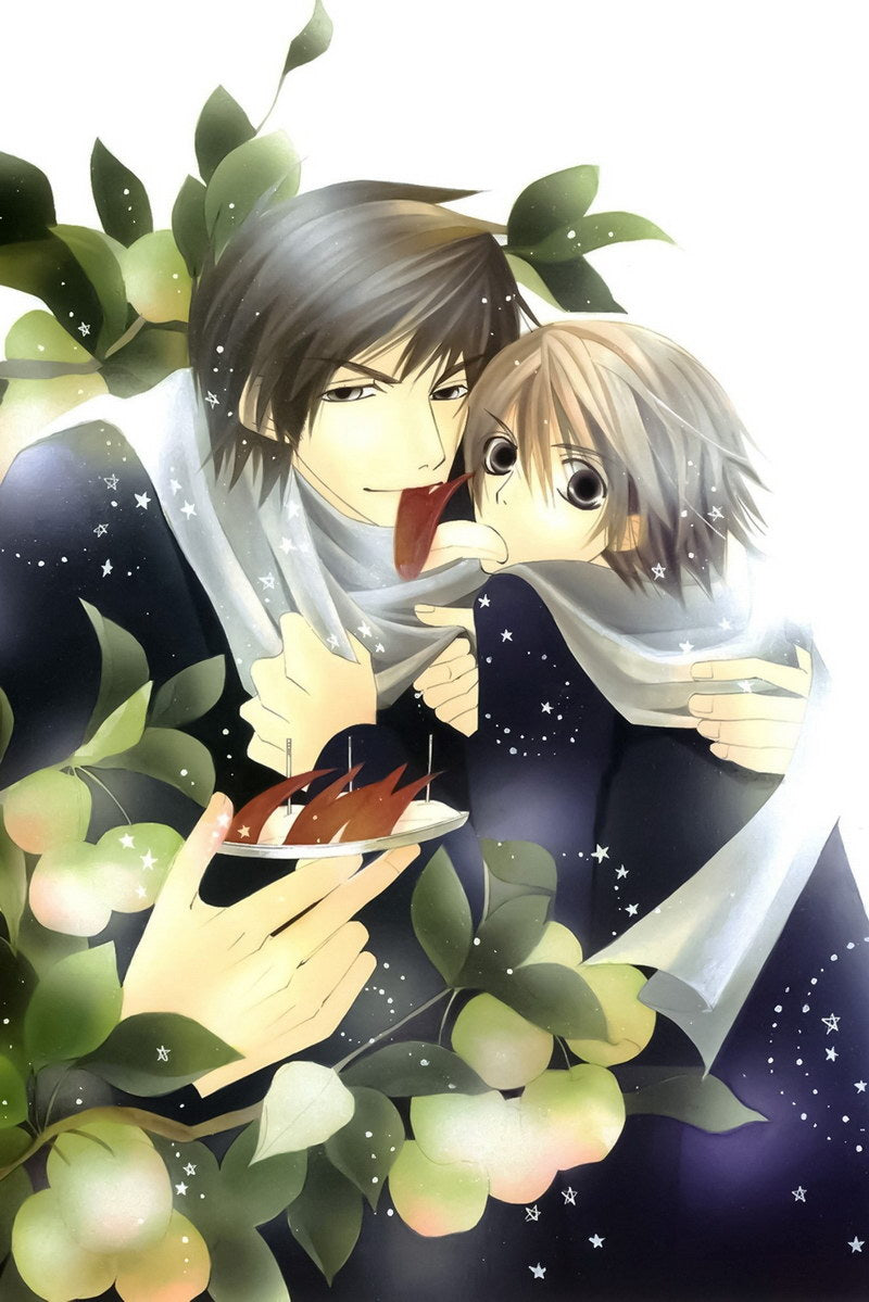 Junjou Romantica Misaki Takahashi Akihiko Usami Yaoi Boys Love Anime Poster Manga Art