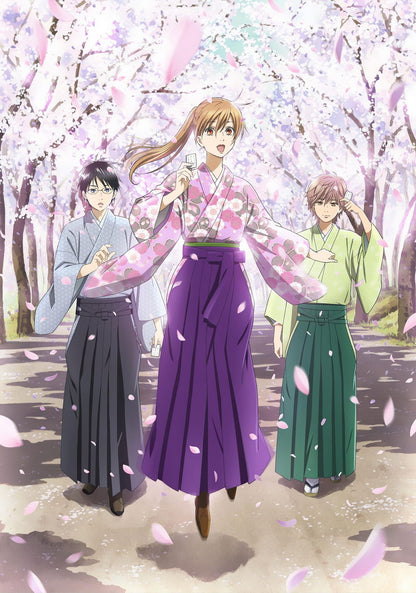 Chihayafuru Tv Series Drama Josei Anime Poster