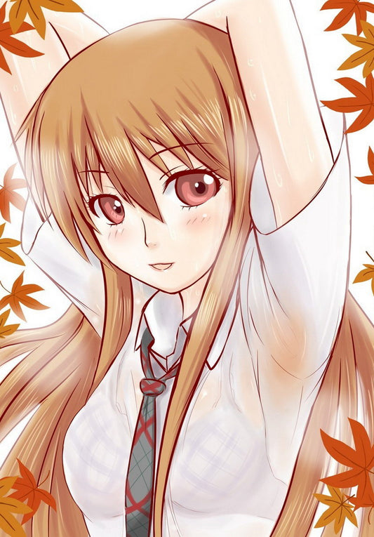 Chihayafuru Tv Series Anime Poster Japanese Drama Sports Josei Anime Poster