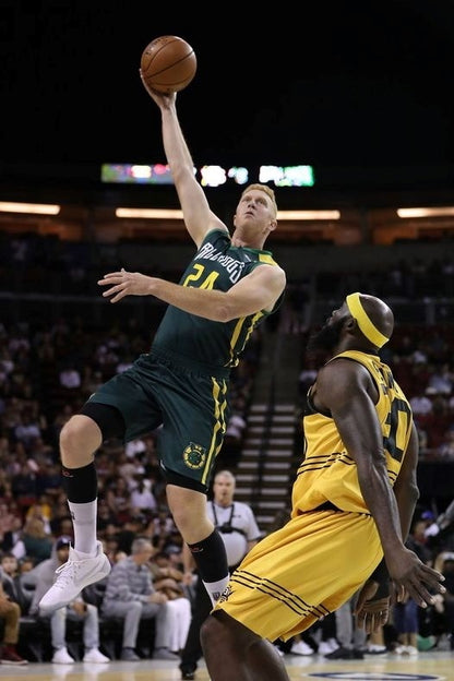 Brian Scalabrine Basketball Player Poster Motivational Sports Print Gift for Man