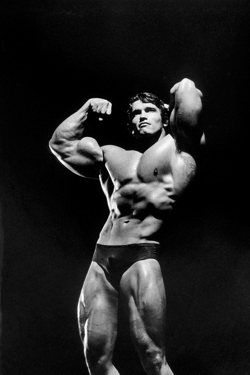 Arnold Schwarzenegger Old School Bodybuilding Icon Poster Famous Bodybuilder HD Photo Print