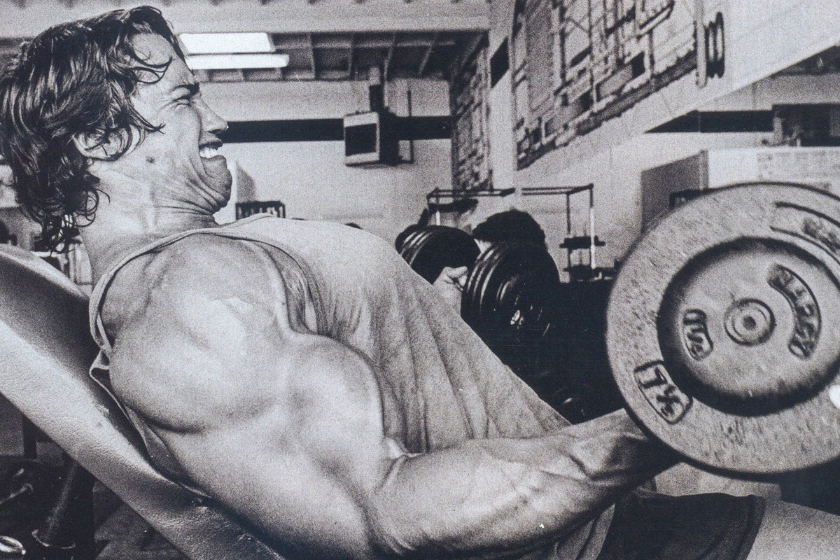 Arnold Schwarzenegger Old School Bodybuilding Icon Poster Famous Bodybuilder HD Photo Print