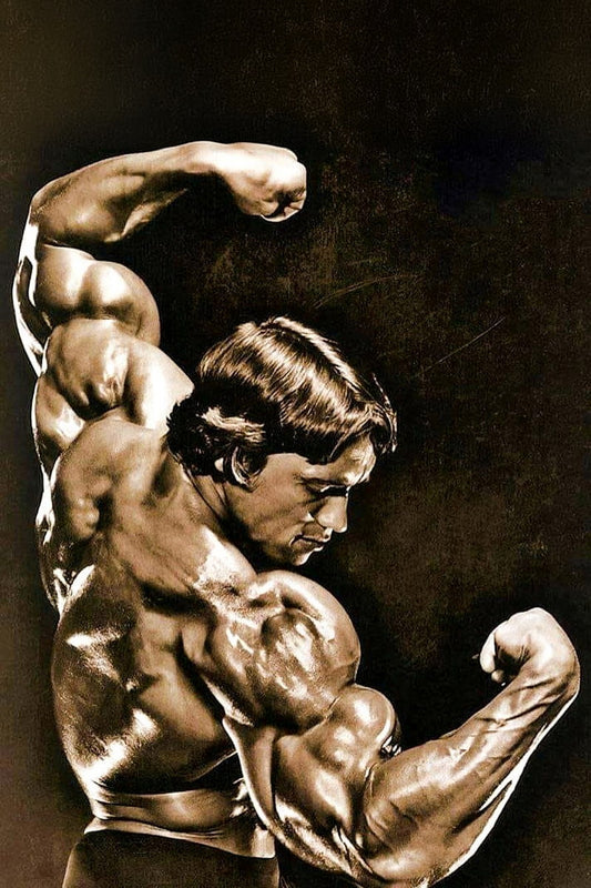 Arnold Schwarzenegger Old School Bodybuilding Icon Poster Famous Bodybuilder HD Photo Print