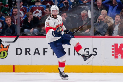 Aaron Ekblad Victory Famous USA Hockey Player Poster North America Hockey HD Photo Print - xonomax