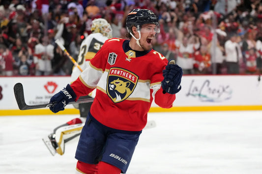 Brandon Montour Victory Famous USA Hockey Player Poster North America Hockey HD Photo Print - xonomax