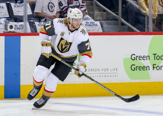 William Karlsson Famous USA Hockey Player Poster North America Hockey HD Photo Print - xonomax