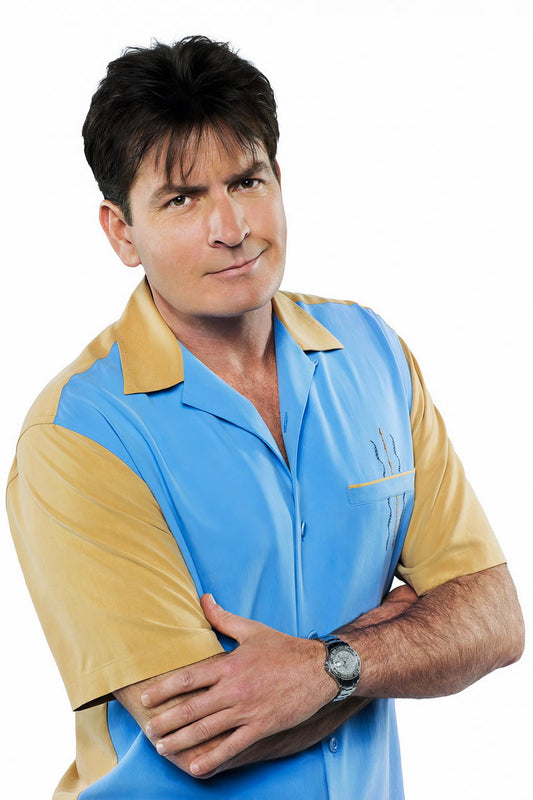 Charlie Sheen Charlie Harper Two and a Half Men Movie Poster Sitcom TV Star Iconic Actor Wall Art Print