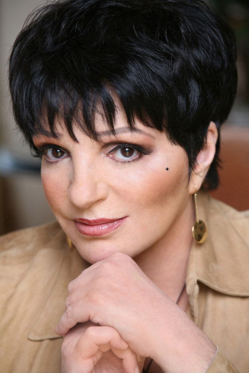 Liza Minnelli Modern Portrait Timeless Actress Hollywood Movie Legend Wall Art Print