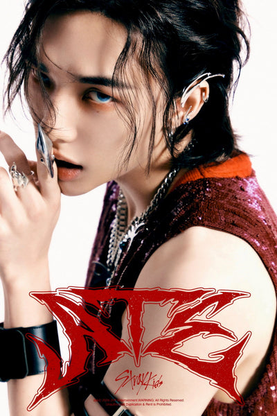 【レア】StrayKids ATE Hyunjin MMT ヒョンジン 752382_grande.jpg?v=1729865044