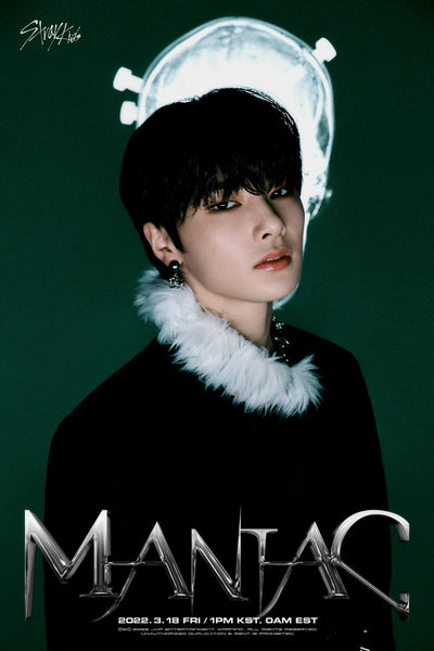 Stray Kids グッズ　まとめ売り　アイエン多め　KPOP ポスター　写真 Group Official Mini Poster 2 pcs Set Stray Kids Hop Genuine Kpop