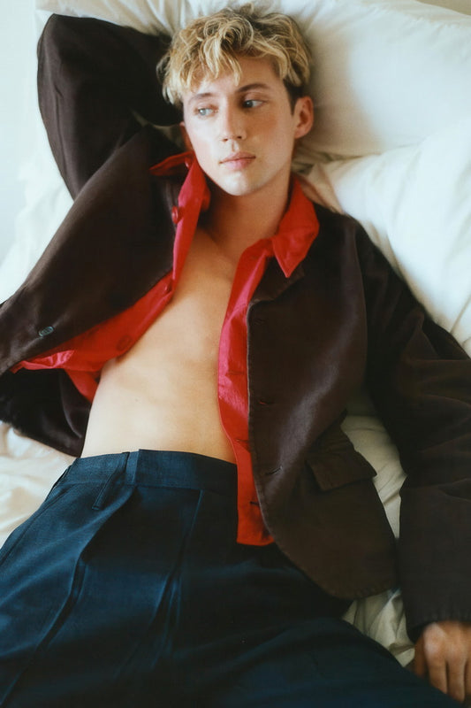Troye Sivan Stylish Photo Print Gay Icon Hollywood Celebrity Poster Handsome Man Wall Art Hot Male Model Aesthetic Decor for Bedroom Living Space
