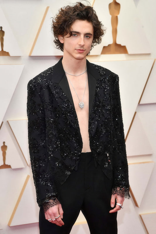 Timothee Chalamet Red Carpet Photo Print Hollywood Celebrity Poster Handsome Man Wall Art Hot Male Model Aesthetic Decor for Bedroom Living Room - xonomax
