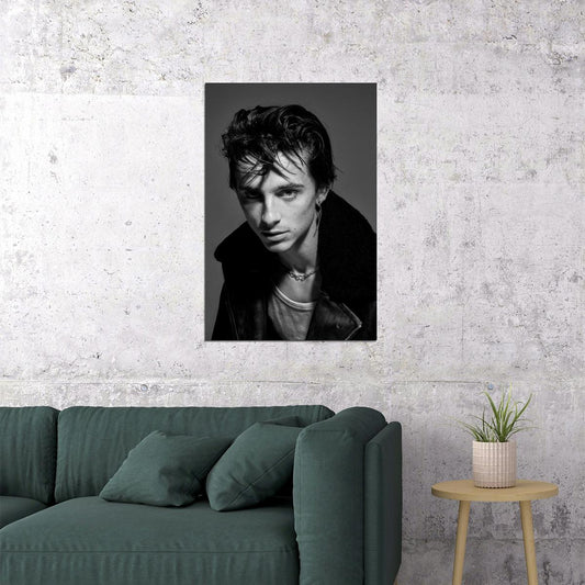 Timothee Chalamet Moody Portrait Photo Print Hollywood Celebrity Poster Handsome Man Wall Art Hot Male Aesthetic Decor for Bedroom Living Room - xonomax