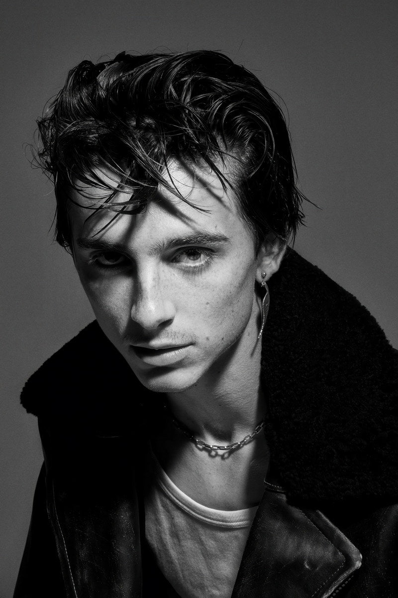 Timothee Chalamet Moody Portrait Photo Print Hollywood Celebrity Poster Handsome Man Wall Art Hot Male Aesthetic Decor for Bedroom Living Room - xonomax