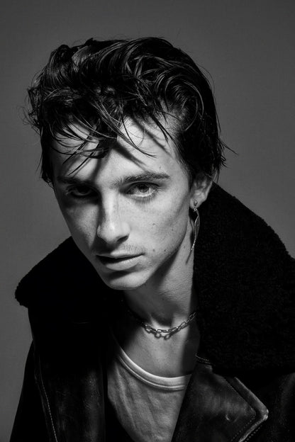Timothee Chalamet Moody Portrait Photo Print Hollywood Celebrity Poster Handsome Man Wall Art Hot Male Aesthetic Decor for Bedroom Living Room - xonomax